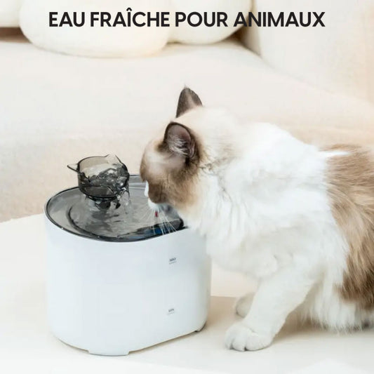 Fontaine À Eau Automatique Hibou Une Hydratation Idéale Pour Chats Et Petits Chiens